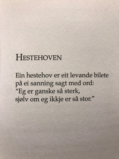Bjørkli